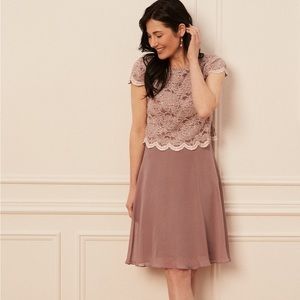 LAURA Lace & Chiffon Pink Cocktail Dress-Petites 8